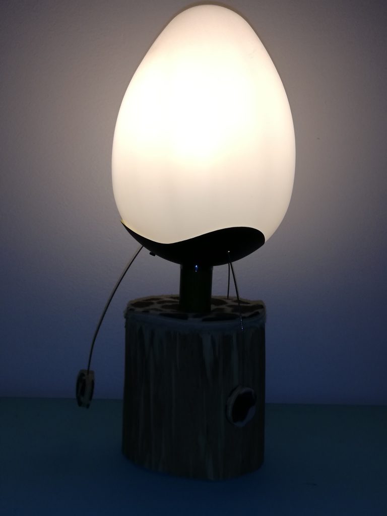 IMG 20190721 104954 768x1024